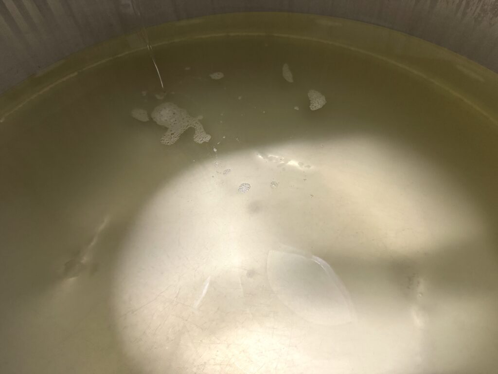 醸し上がった新酒　能登を醸す｜数馬酒造 復興レポート13　2025.12